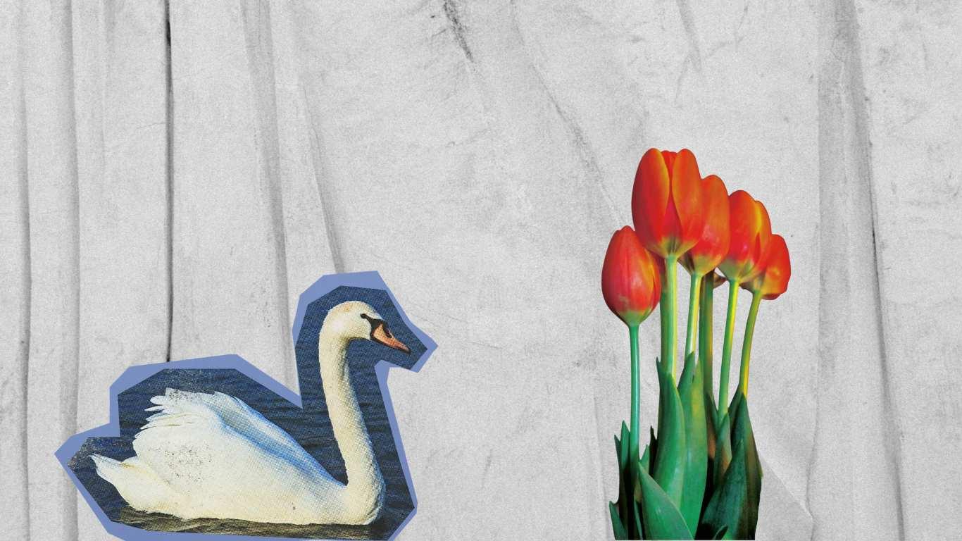 "Тиранично е непрекъснато да се стремим към щастие"