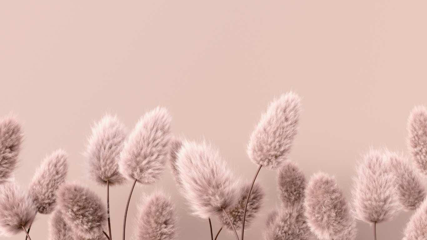 Когато “добрите намерения” вадят лошото от другите