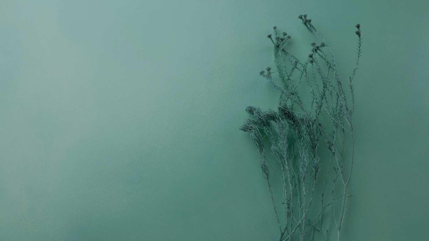 Интервю с Естер Перел на тема: Какво се случва с двойките под стрес